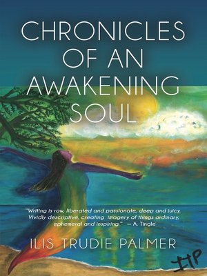 cover image of Chronicles of an Awakening Soul
